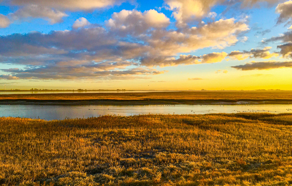 Feriehuse - Sint-Annaland , Holland - HZE189 36