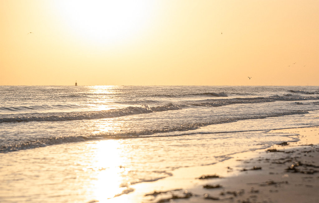 Ferienhaus - Dishoek , Niederlande - HZE252 24