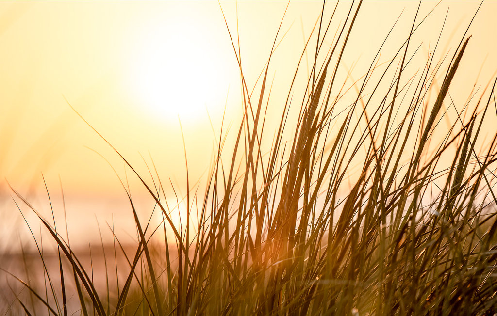 Ferienhaus - Dishoek , Niederlande - HZE252 25