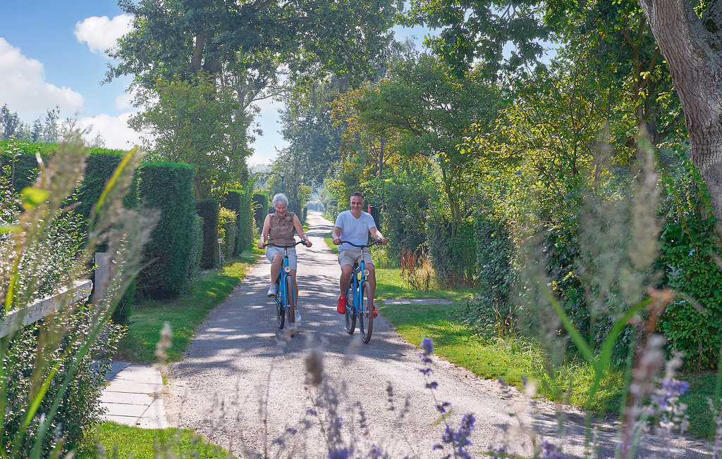 Semesterhus - Renesse , Nederländerna - HZE500 6