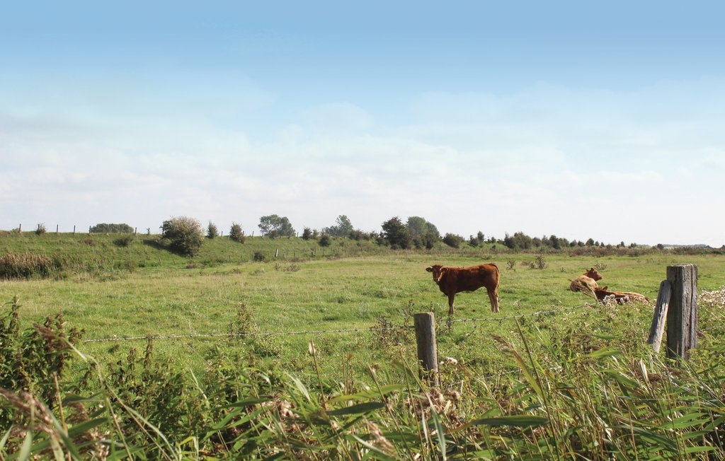 Feriehuse - Wolphaartsdijk , Holland - HZE154 26