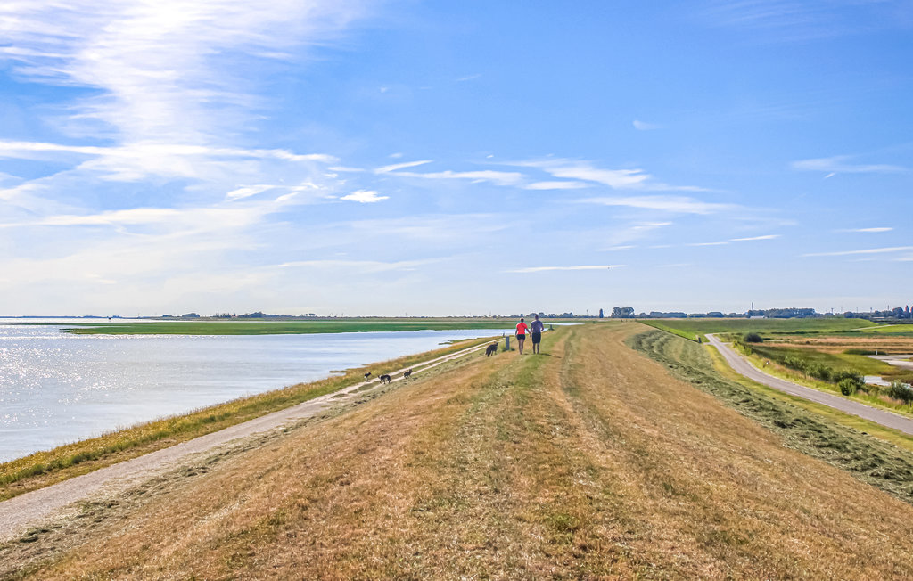 Ferienhaus - Heinkenszand , Niederlande - HZE246 31