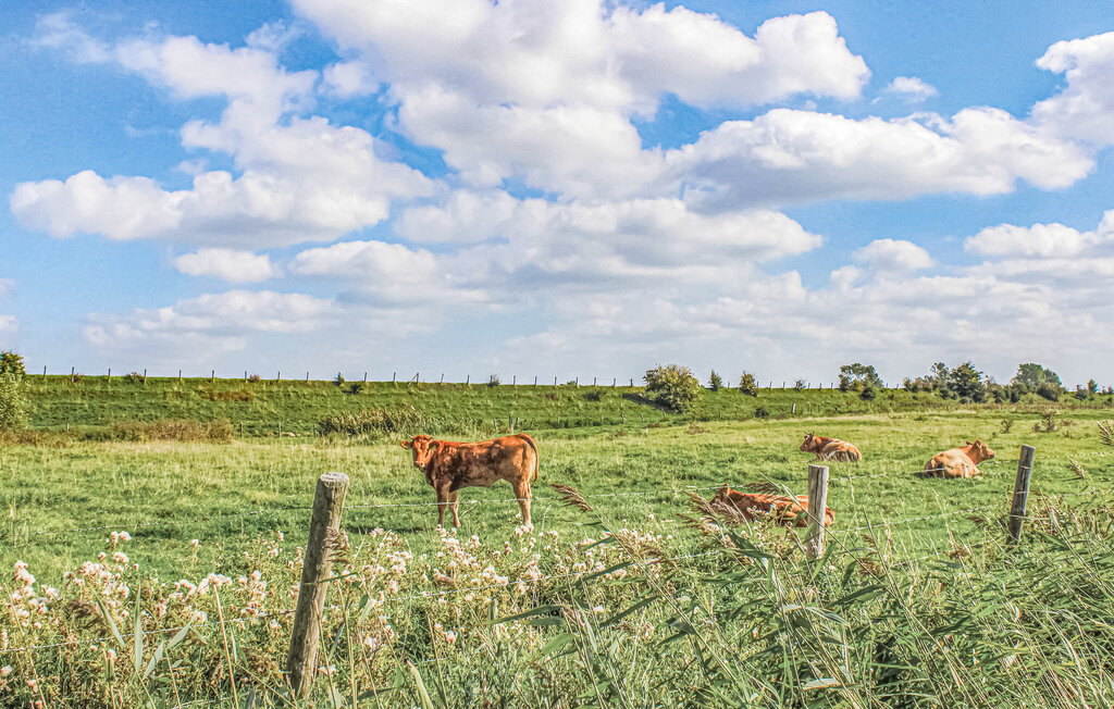 Semesterhus - Kortgene , Nederländerna - HZE256 24
