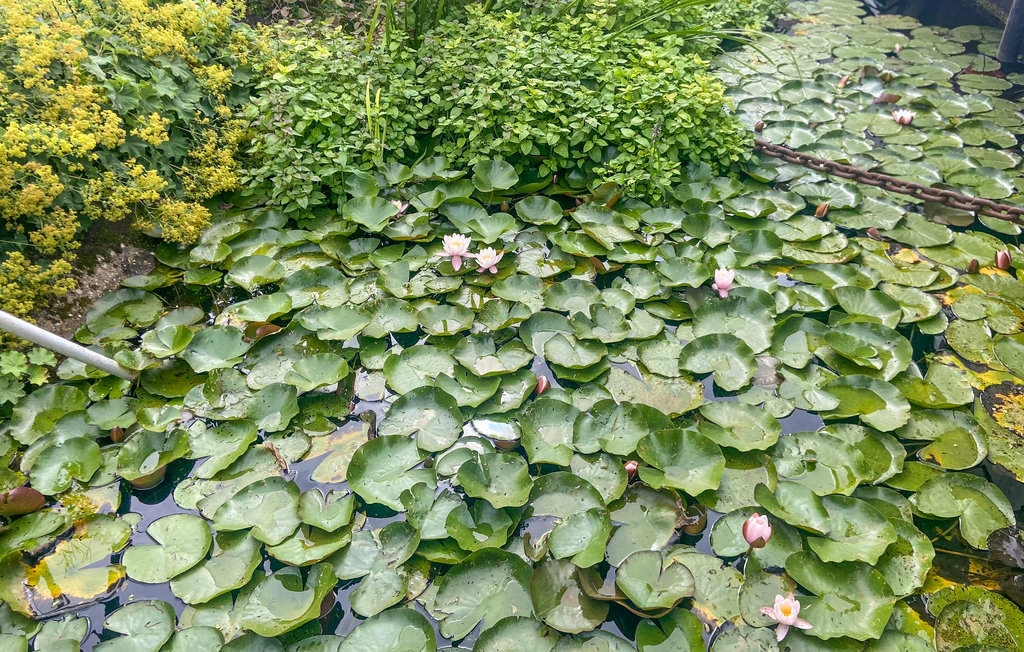 Hausboot - Rotterdam , Niederlande - HZH231 11