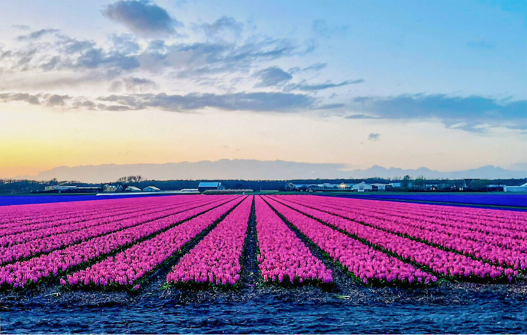 Semesterhus - Sollasi - Noordwijk , Nederländerna - HZH240 26