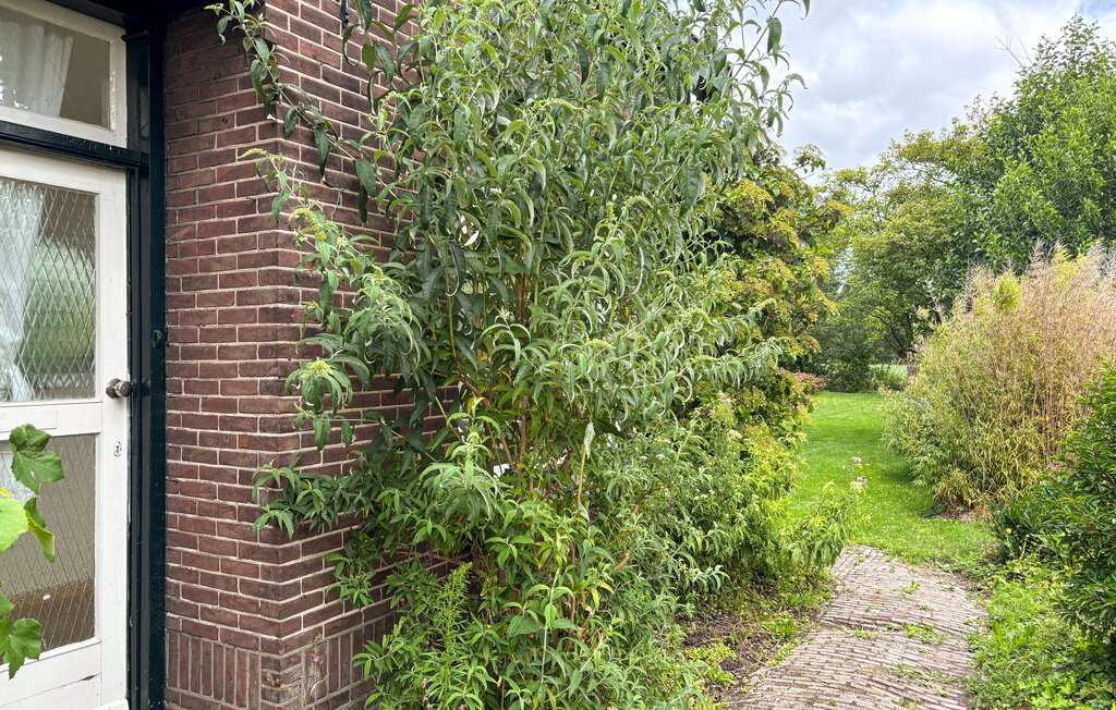 Ferienhaeuser - Stolwijk , Niederlande - HZH263 14