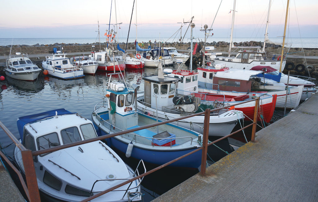 Ferienhaus - Snogebæk , Dänemark - I50600 21