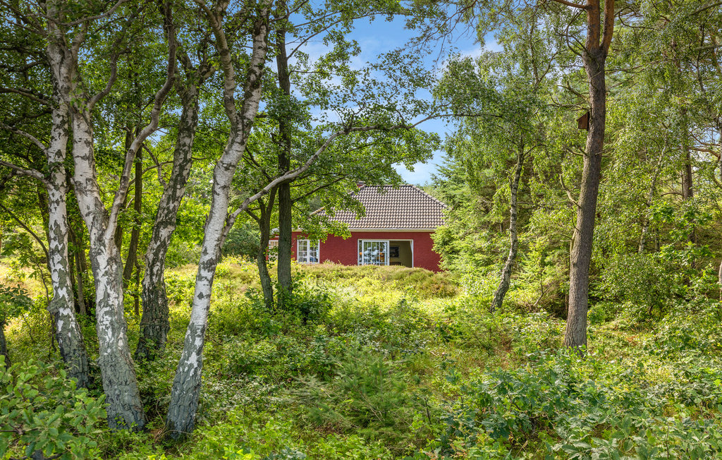 Feriehuse - Snogebæk , Danmark - I50989 13