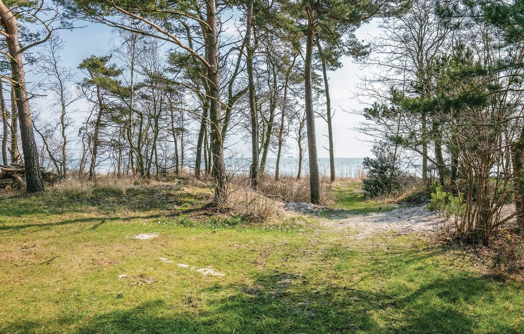 Feriehuse - Snogebæk , Danmark - I50767 5