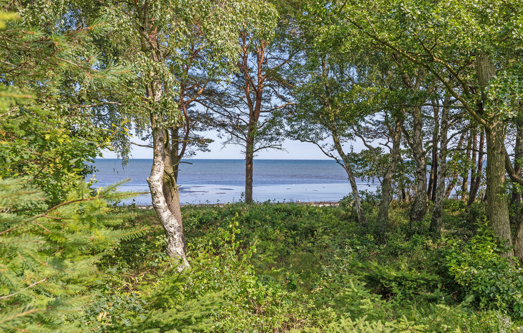 Feriehuse - Snogebæk , Danmark - I50989 12