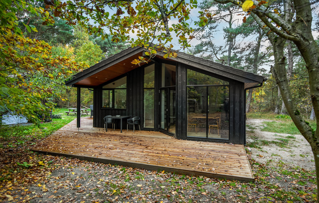 Ferienhaus - Snogebæk , Dänemark - I50011 1