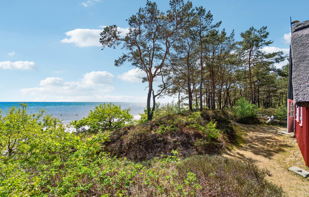 Feriehus - Snogebæk , Danmark - I50015 18