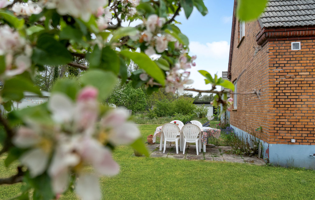 Ferienhaus - Snogebæk , Dänemark - I50076 15