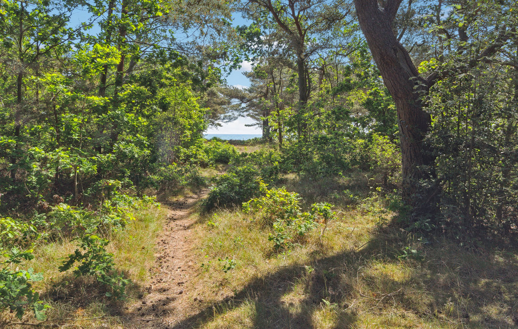Feriehuse - Snogebæk , Danmark - I50111 2