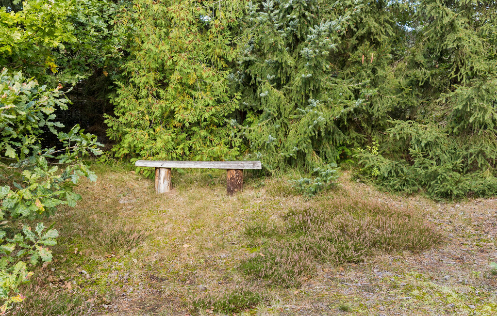 Ferienhaus - Balka , Dänemark - I50188 15