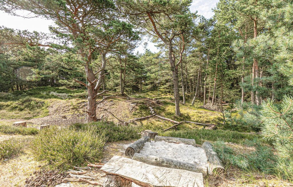 Feriehus - Dueodde , Danmark - I51872 13