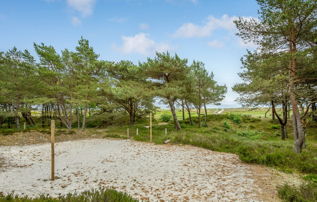 Ferienhaus - Dueodde , Dänemark - I51983 12