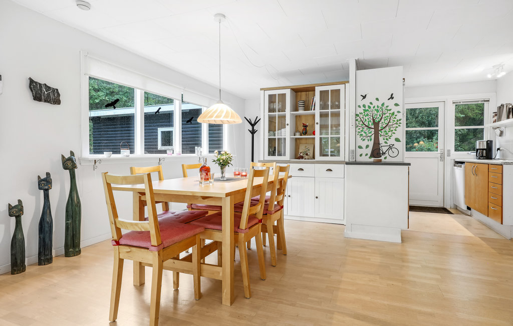 Ferienhaus - Dueodde , Dänemark - I51817 5