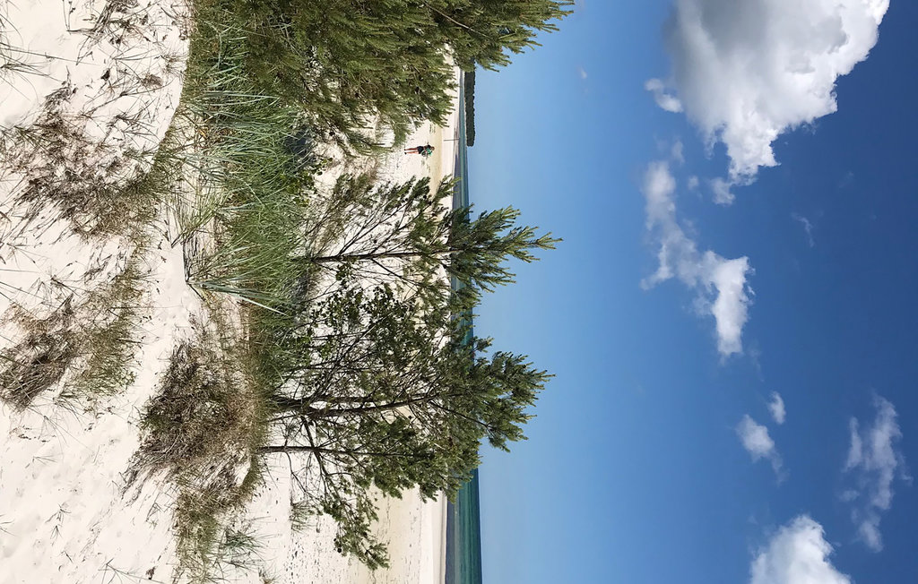 Feriehus - Dueodde , Danmark - I51575 33