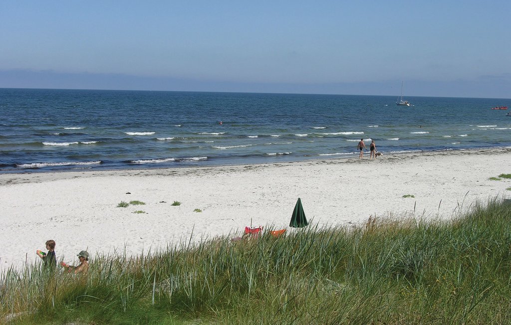 Ferienhaus - Dueodde , Dänemark - I51817 23