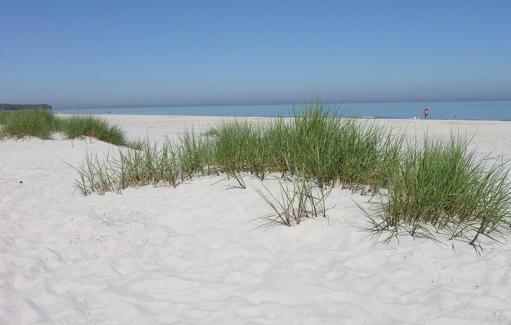 Ferienhaus - Dueodde , Dänemark - I51940 19