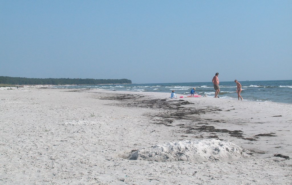 Feriehus - Dueodde , Danmark - I51961 5