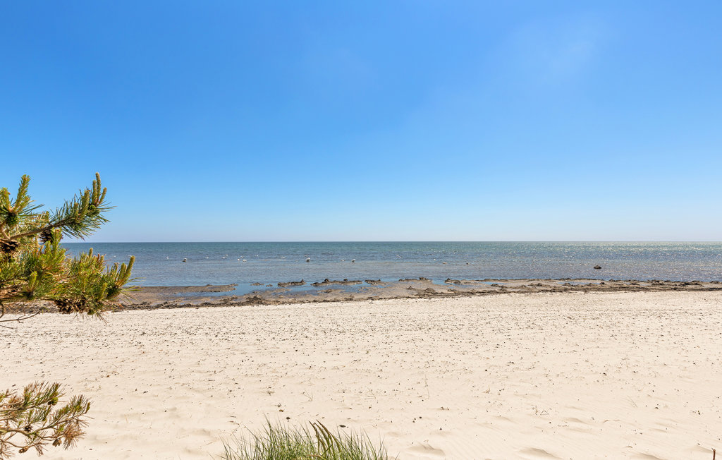 Feriehus - Dueodde , Danmark - I51677 23