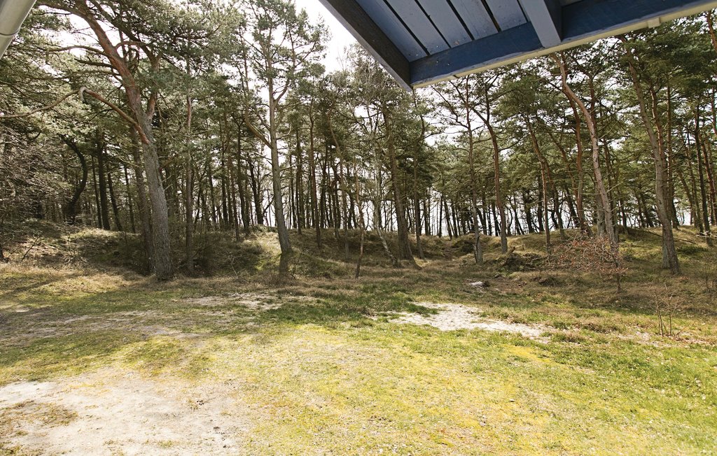 Feriehus - Strandmarken , Danmark - I51808 13
