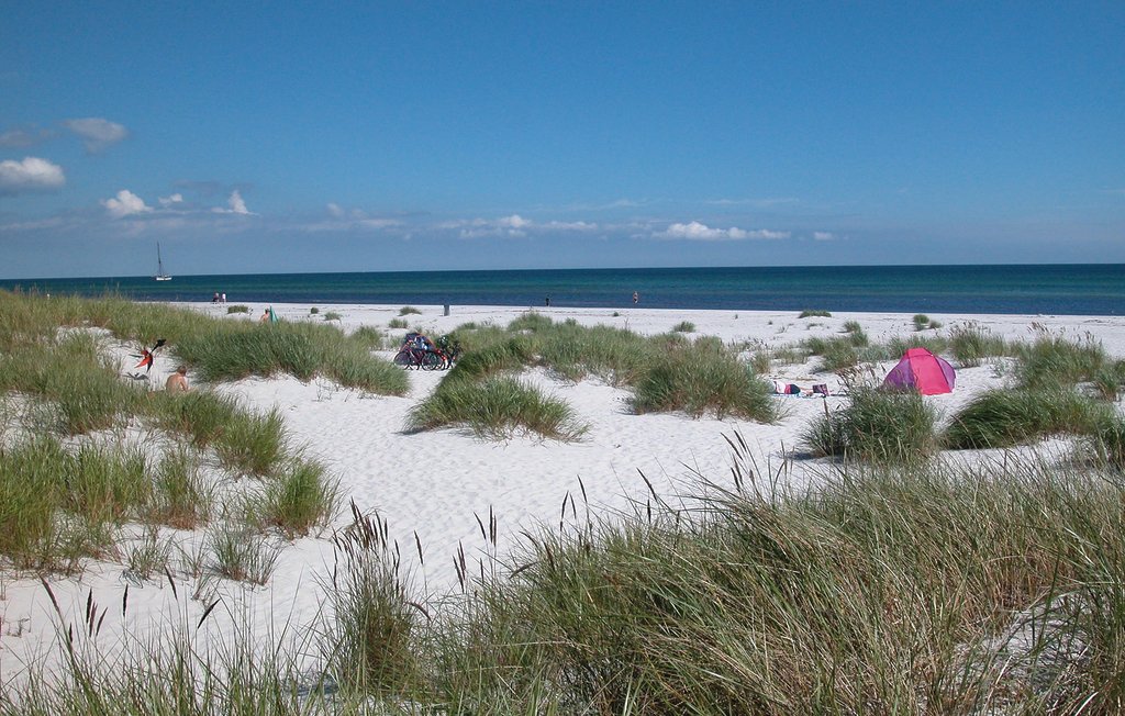 Feriehus - Dueodde , Danmark - I51952 25