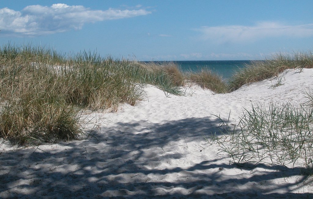 Ferienhaus - Dueodde , Dänemark - I51983 26