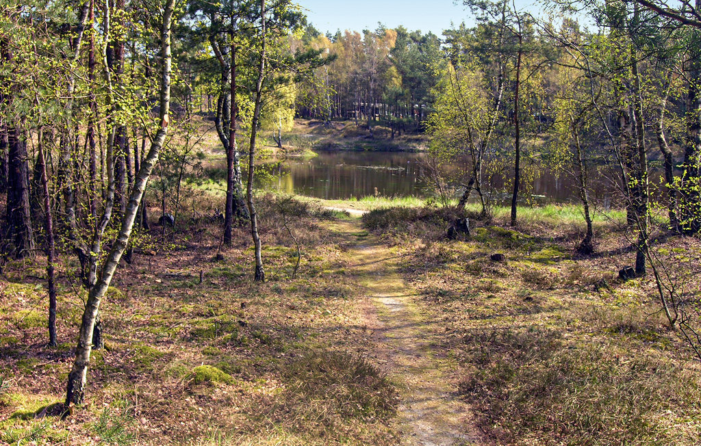 Feriehuse - Dueodde , Danmark - I51829 32