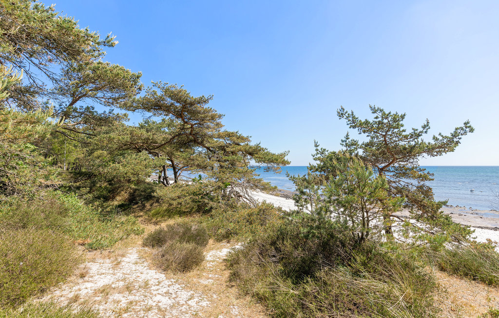 Feriehus - Dueodde , Danmark - I51677 24