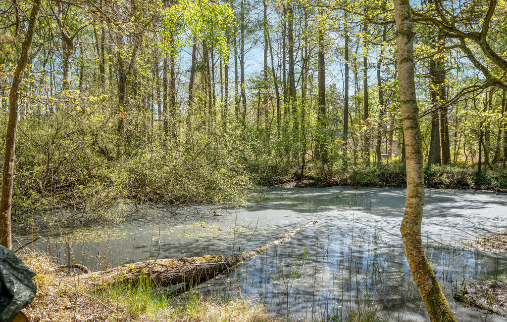 Semesterhus - Dueodde , Danmark - I51810 8