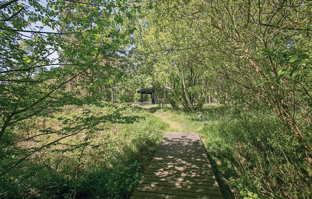 Ferienhaus - Dueodde , Dänemark - I51926 16