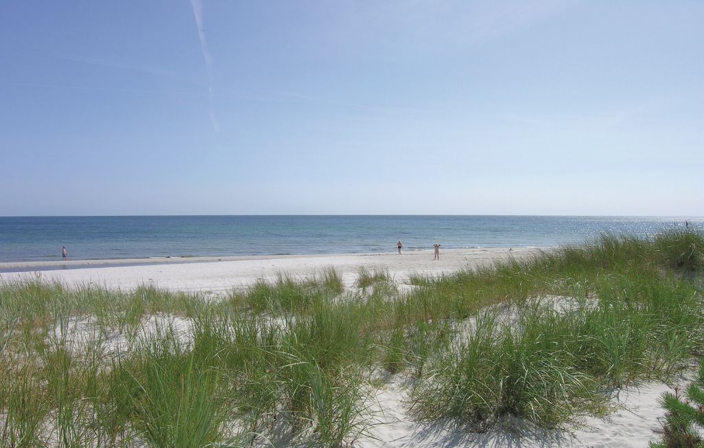 Semesterhus - Dueodde , Danmark - I51861 19