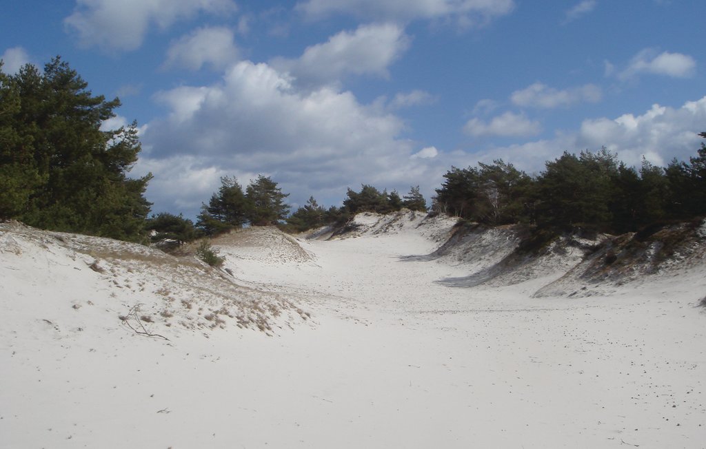 Ferienhaus - Dueodde , Dänemark - I51977 28