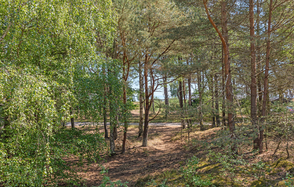 Feriehus - Dueodde , Danmark - I51725 17