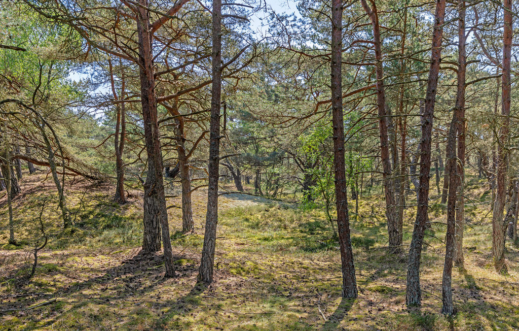 Feriehuse - Sommerodde , Danmark - I51660 20