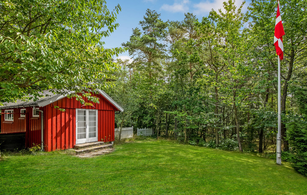 Feriehus - Dueodde , Danmark - I51575 17