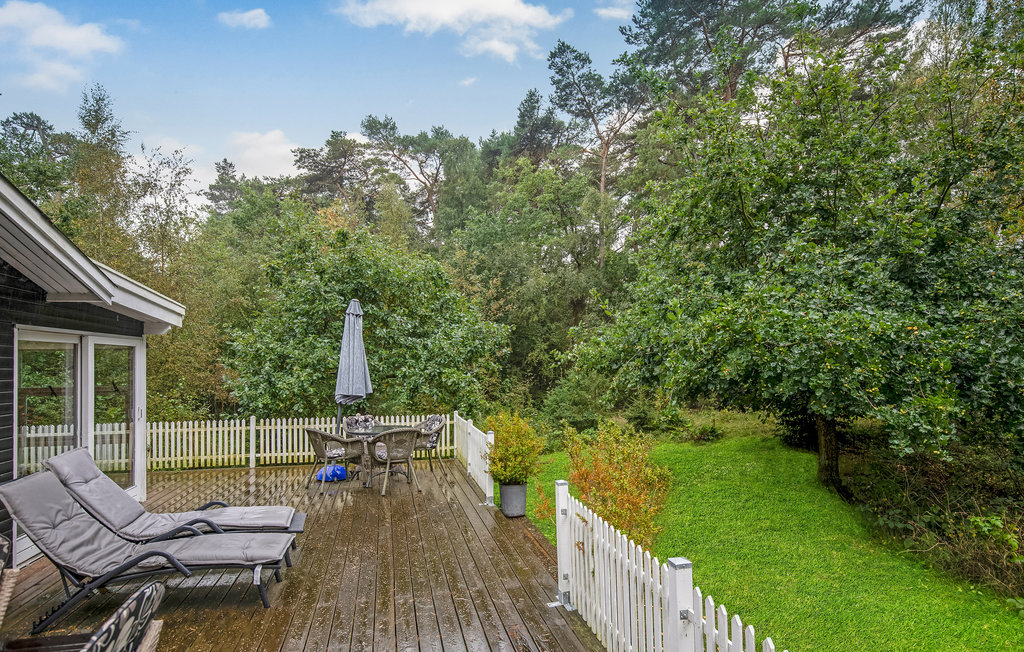 Ferienhaus - Dueodde , Dänemark - I51817 16