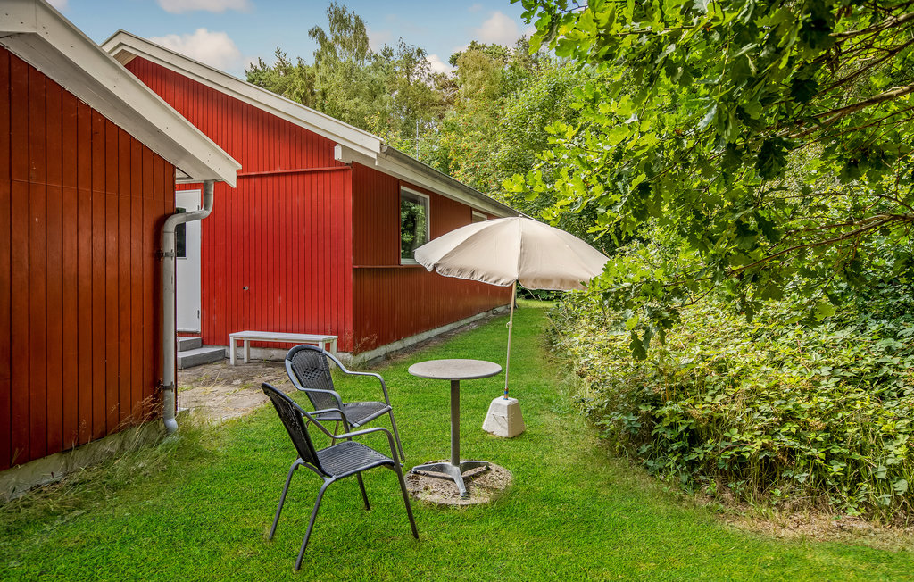Feriehus - Dueodde , Danmark - I51575 22