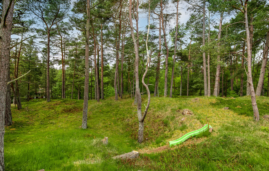Semesterhus - Dueodde , Danmark - I51965 19
