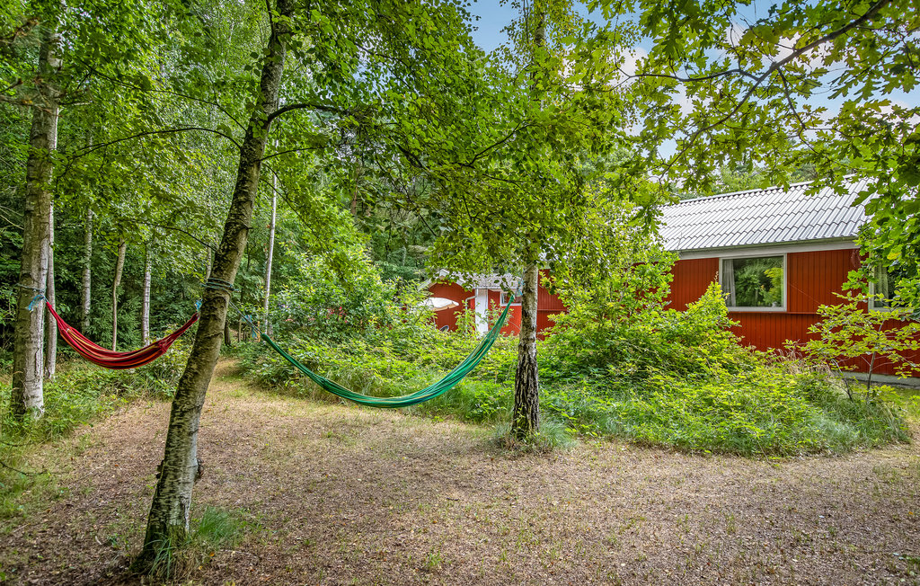 Feriehus - Dueodde , Danmark - I51575 9