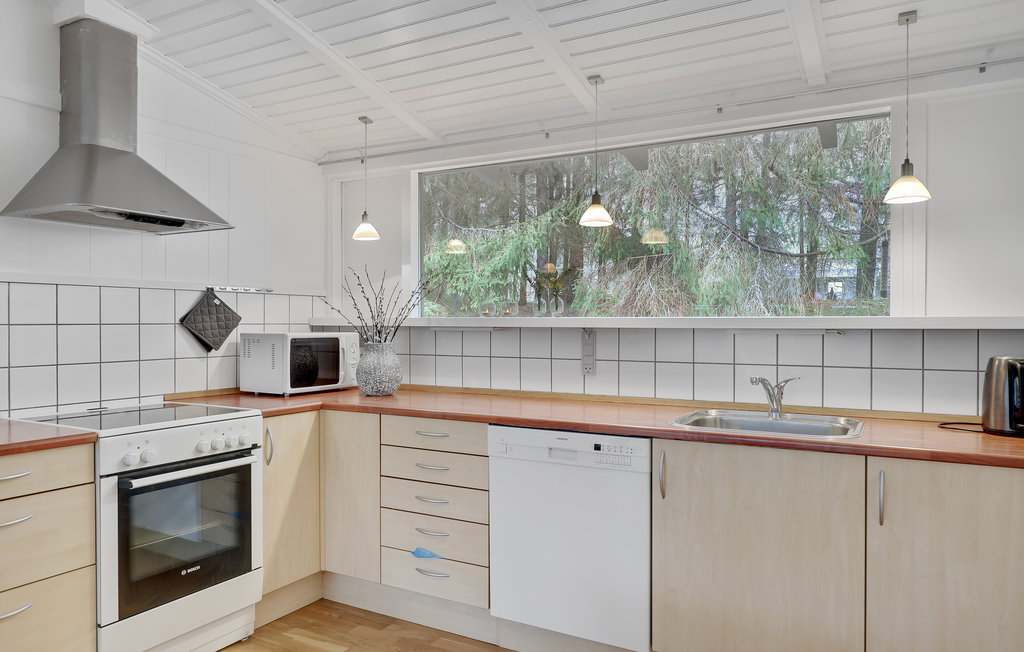 Ferienhaus - Dueodde , Dänemark - I51862 6