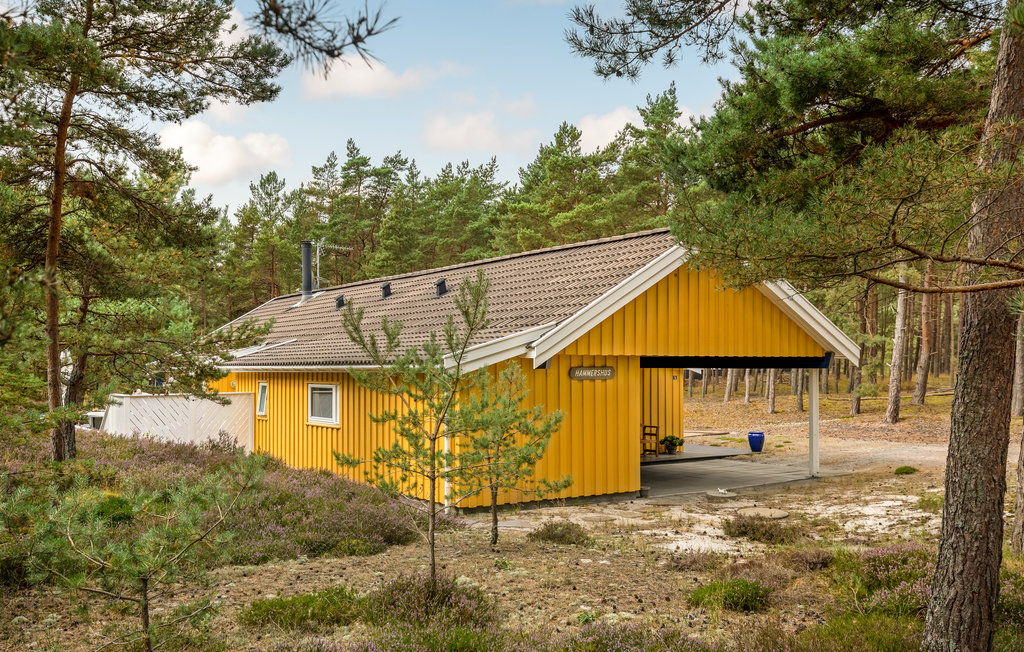 Feriehus - Sommerodde , Danmark - I51444 12