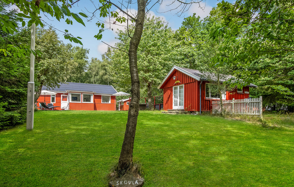 Feriehus - Dueodde , Danmark - I51575 11