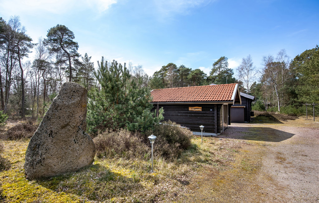 Feriehuse - Dueodde , Danmark - I51869 10