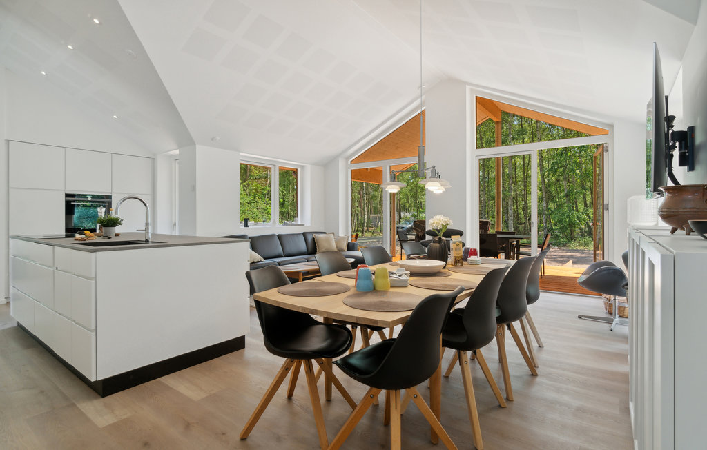 Ferienhaus - Dueodde , Dänemark - I51018 4