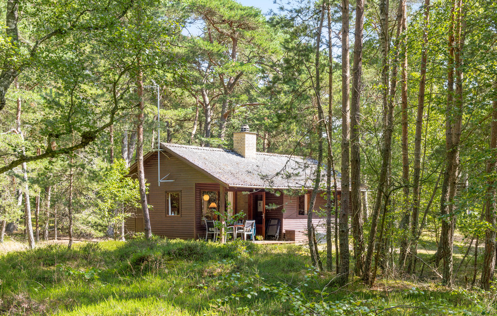 Ferienhaus - Dueodde , Dänemark - I51008 1