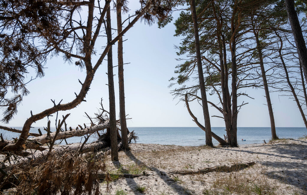 Feriehus - Dueodde , Danmark - I51979 29
